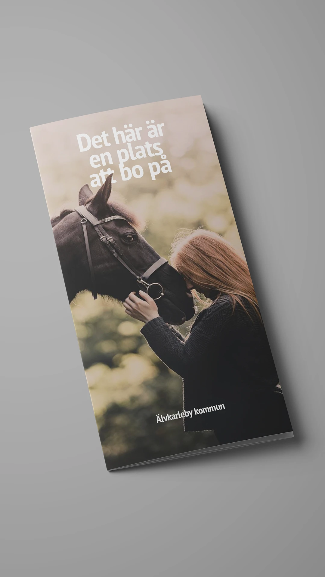 Ett marknadsföringsblad för Älvarleby kommun.